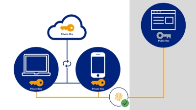 A passkey is a key pair consisting of a public key (grey) and a private key (orange). The private key is stored on end devices and can optionally be synchronised via the cloud. Users securely access websites or apps with the help of a passkey. Graphic: SWITCH