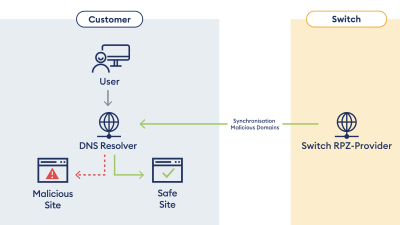 DNS grafik